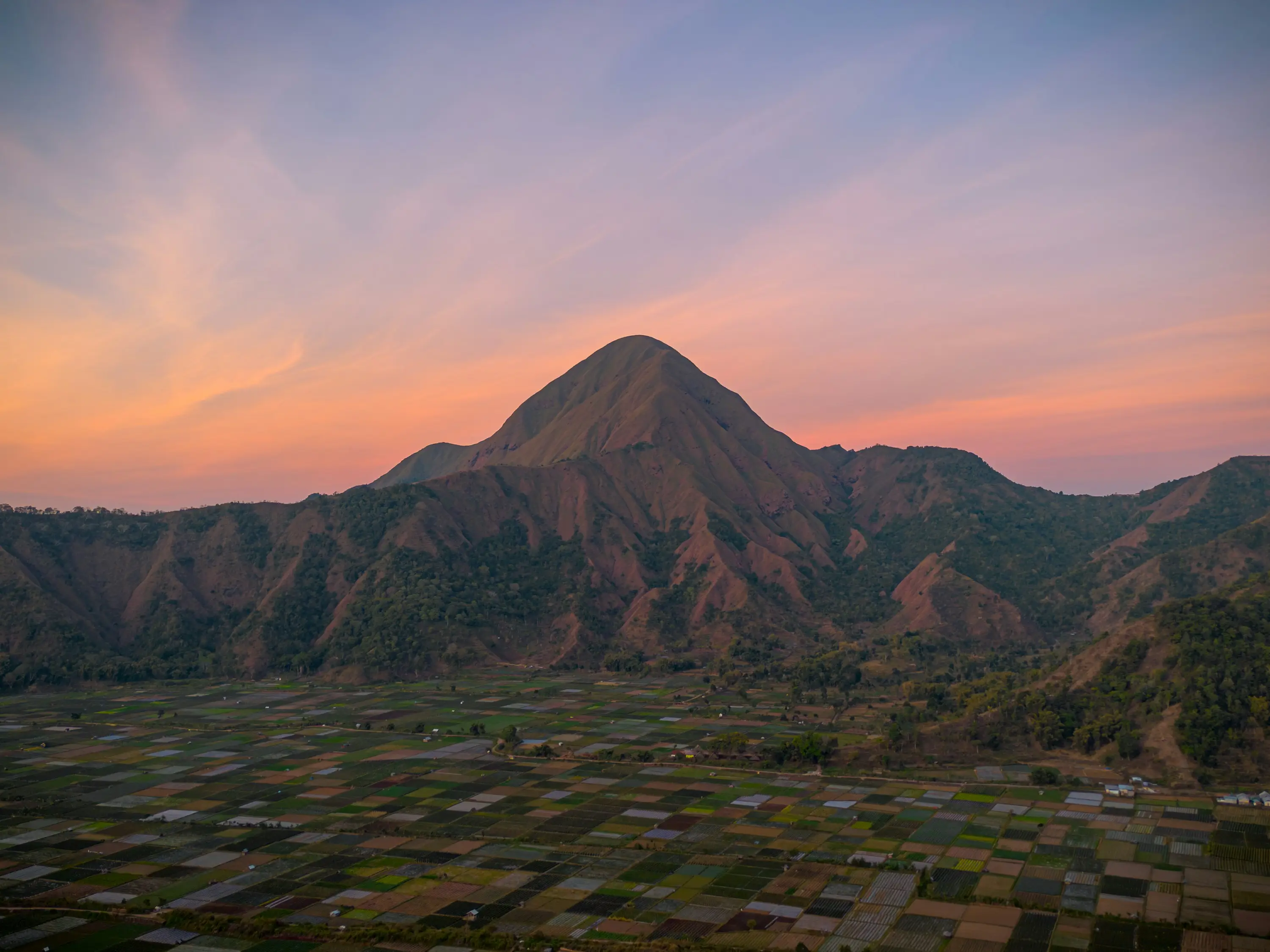 Sembalun valley rice fields